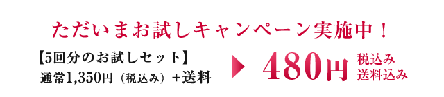 ただいまお試しキャンペーン中！